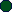 Dark Green circle